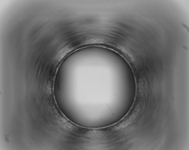 X0000095930929200801181436