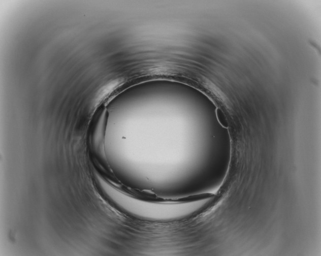 X0000095930930200801181436
