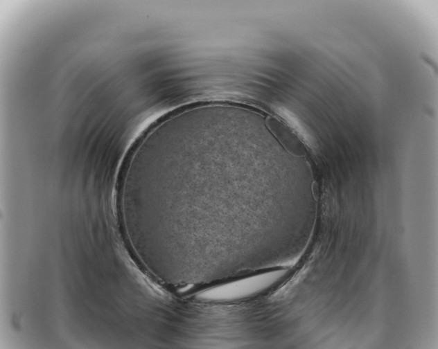 X0000095930932200801181436