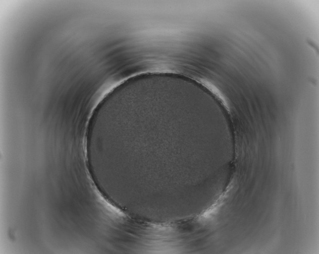 X0000095930935200801181436