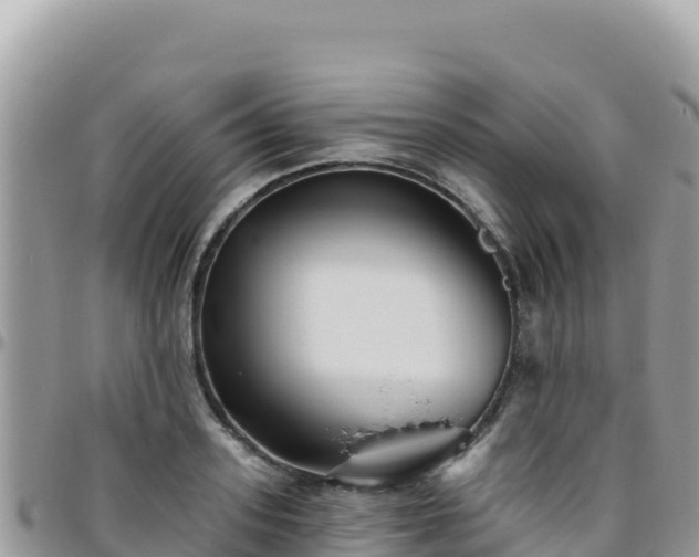 X0000095930939200801181436