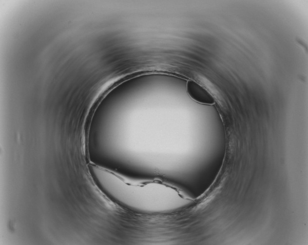 X0000095930940200801181436