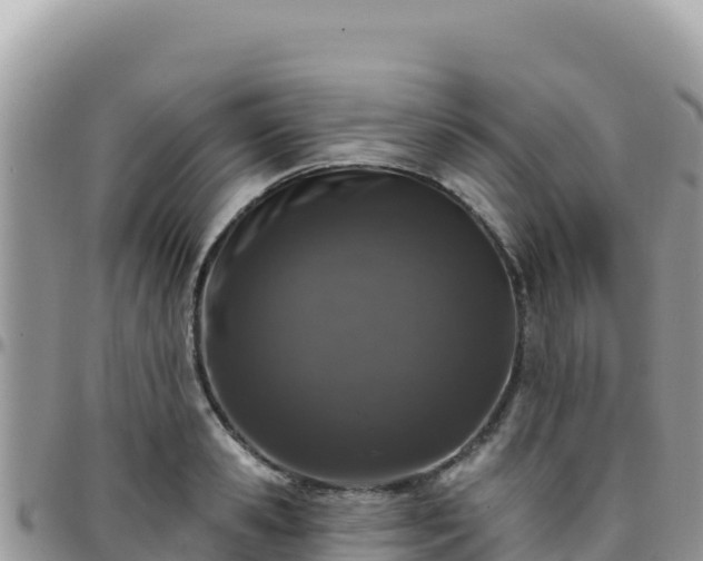 X0000095930941200801181436
