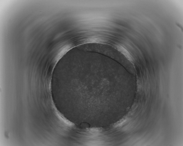 X0000095930946200801181437
