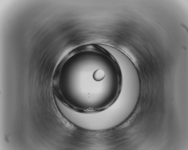 X0000095930948200801181437