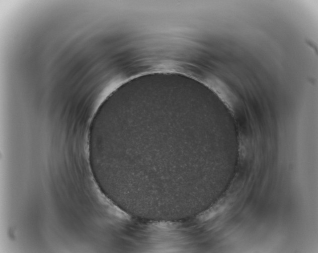 X0000095930950200801181437