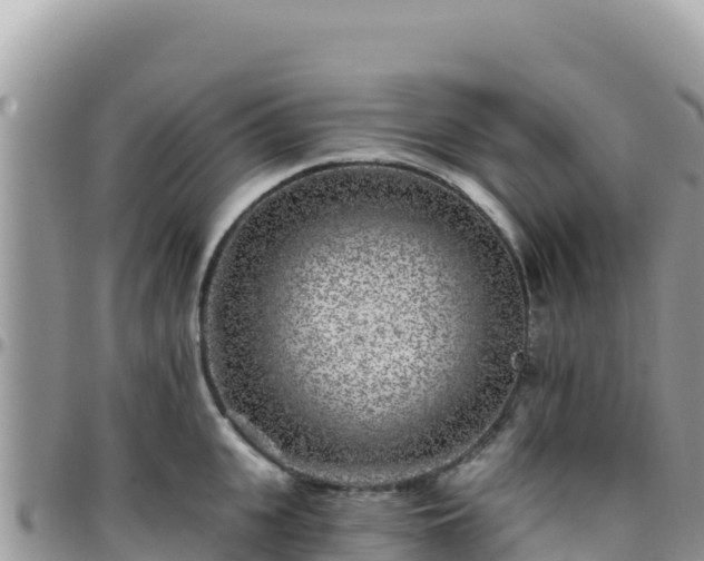 X0000095930951200801181437