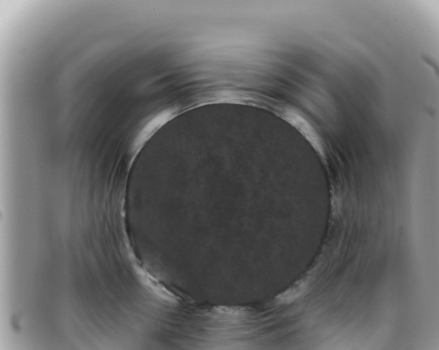 X0000095930954200801181437