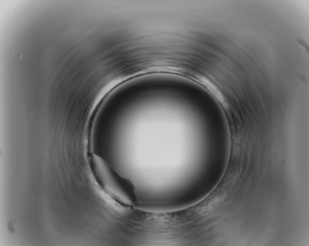 X0000095930955200801181437
