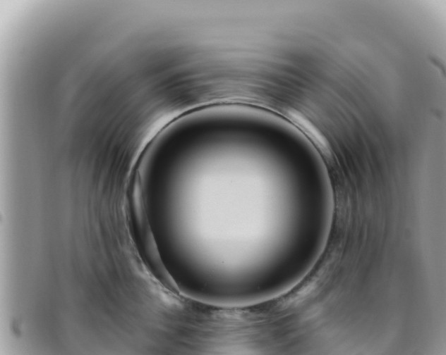 X0000095930956200801181437
