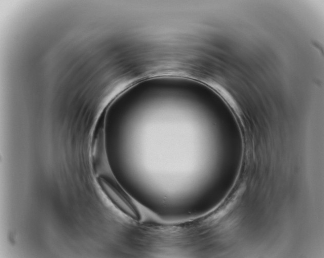 X0000095930957200801181437