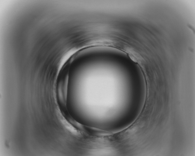 X0000095930960200801181437