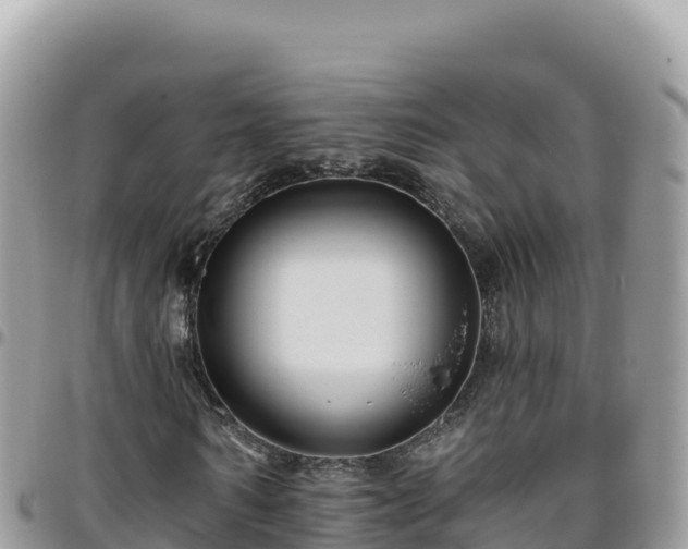 X0000095930962200801181436