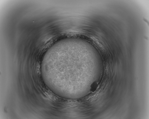 X0000095930964200801181436