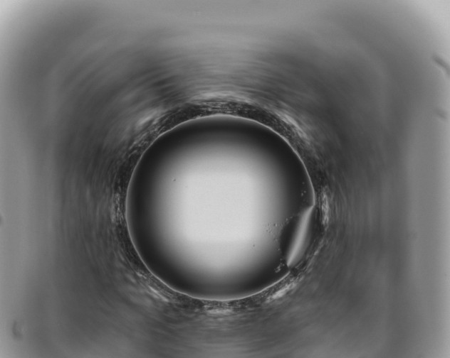 X0000095930965200801181436