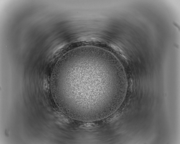 X0000095930966200801181436