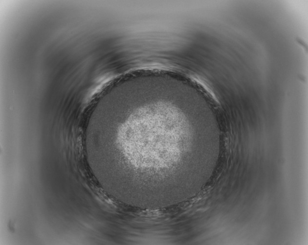 X0000095930968200801181436