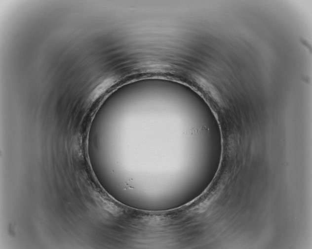 X0000095930970200801181436