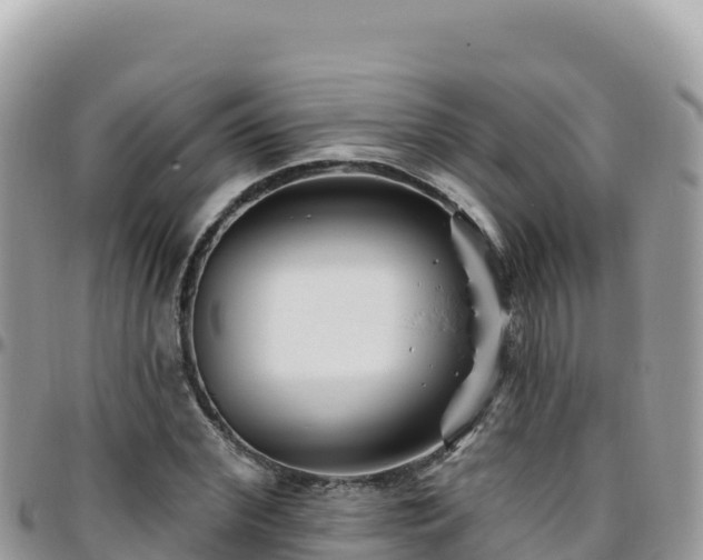 X0000095930972200801181436