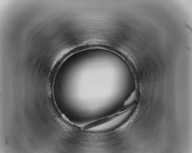 X0000095930973200801181436