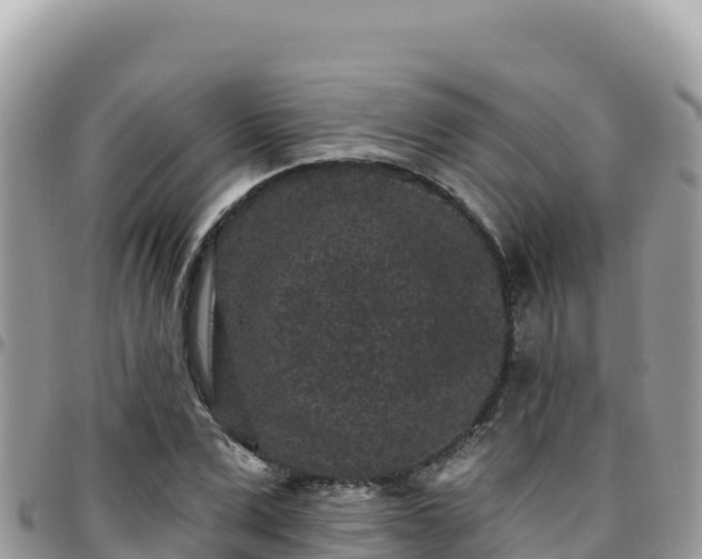 X0000095930975200801181436