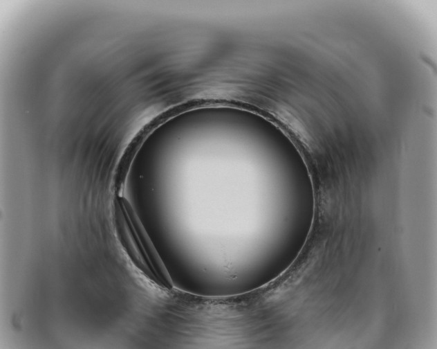 X0000095930976200801181436