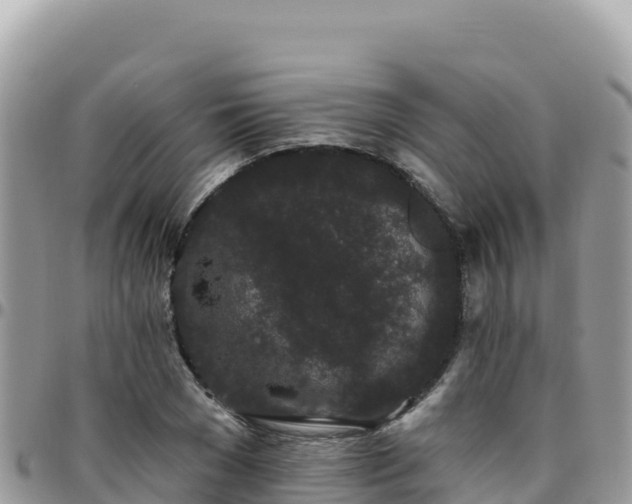 X0000095930977200801181436