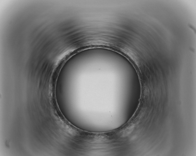 X0000095930979200801181436