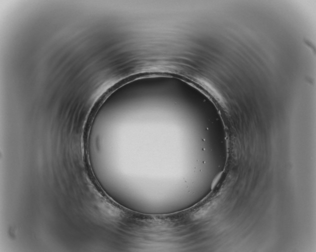 X0000095930980200801181436