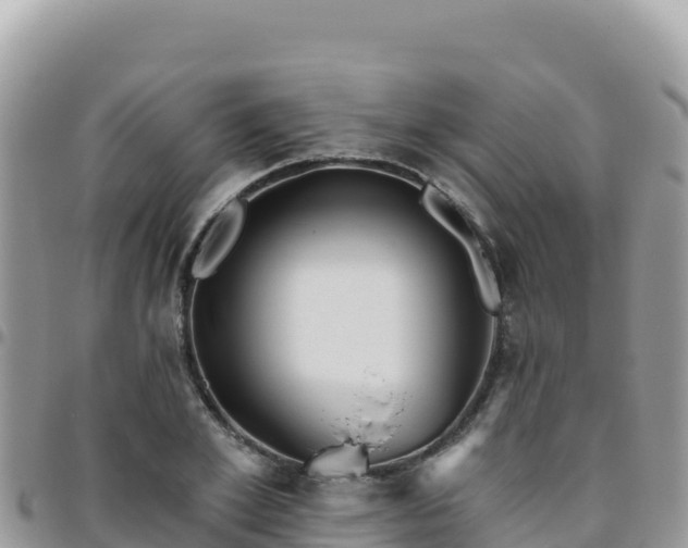 X0000095930981200801181436