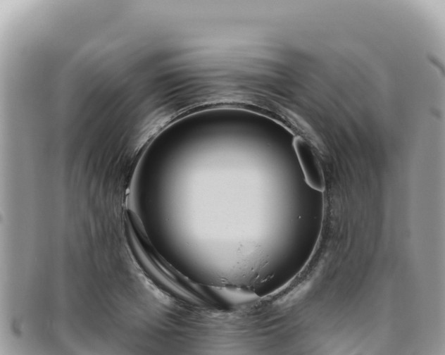 X0000095930985200801181436