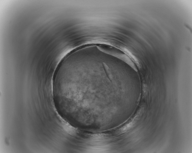 X0000095930988200801181436
