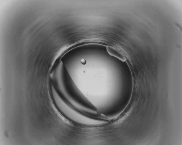 X0000095930989200801181436