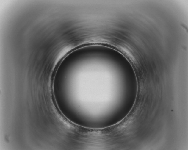 X0000095930990200801181436