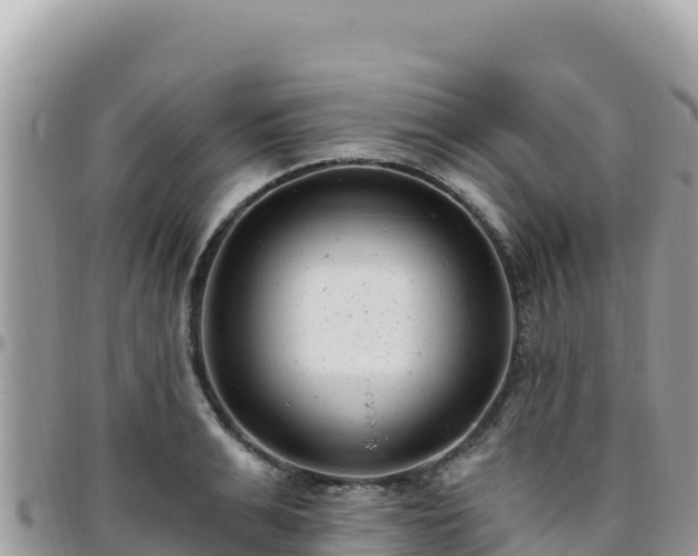 X0000095930991200801181436