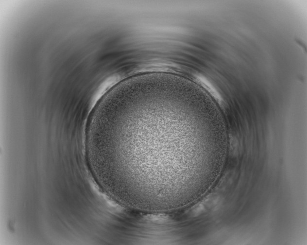 X0000095930994200801181436