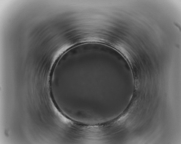 X0000095930995200801181436