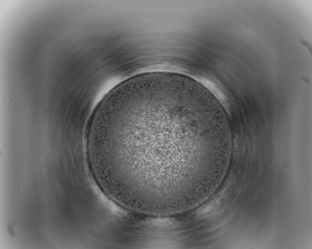 X0000095930998200801181436