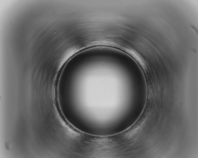 X0000095930999200801181436
