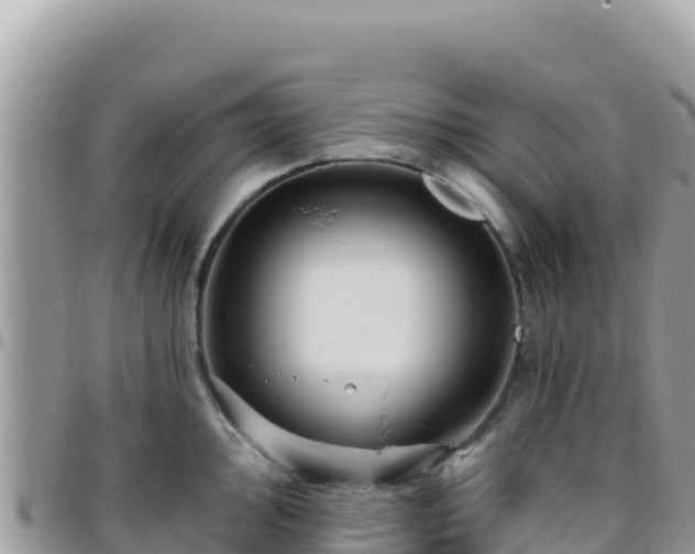 X0000095931000200801181435