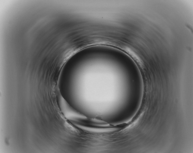 X0000095931001200801181435