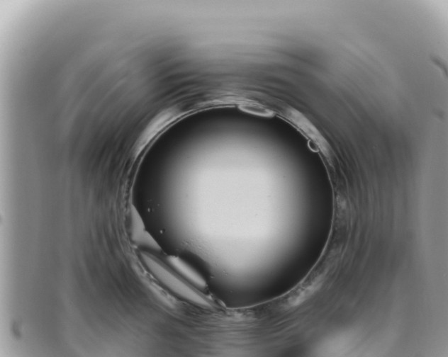 X0000095931002200801181435