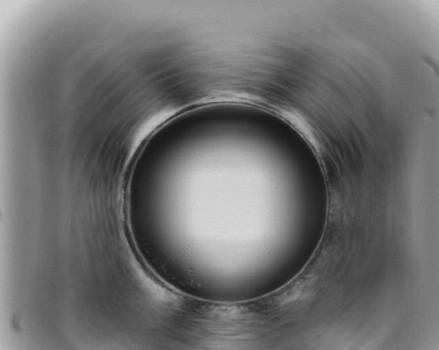 X0000095931003200801181435