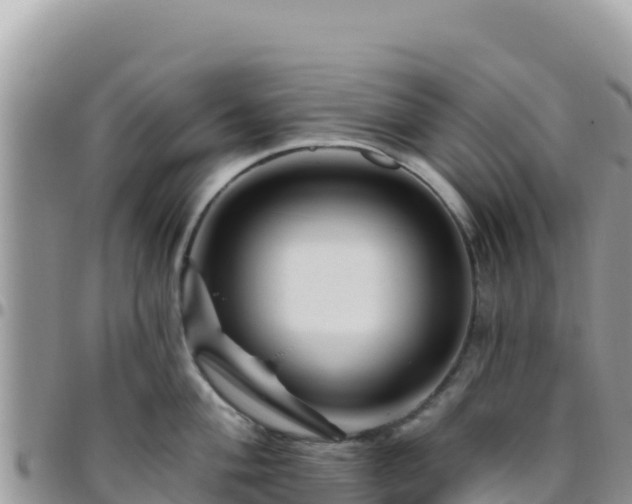 X0000095931004200801181435