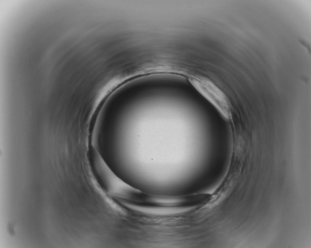 X0000095931005200801181435