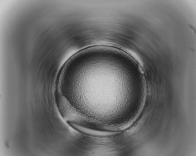 X0000095931007200801181435