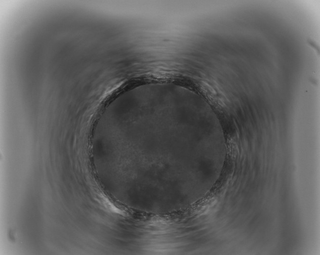 X0000095931009200801181435