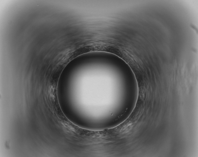 X0000095931010200801181435