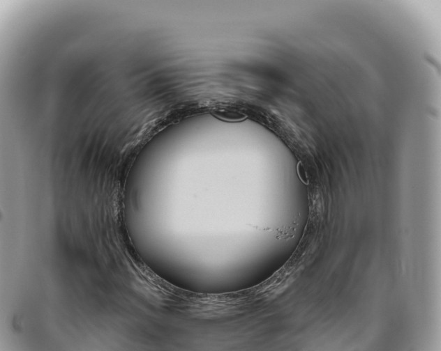X0000095931012200801181435