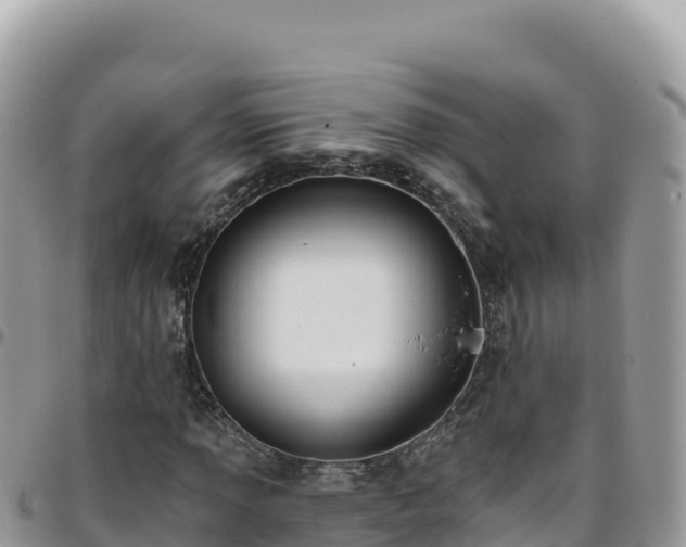 X0000095931013200801181435